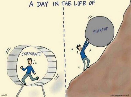 de aceleradora en aceleradora  - rueda de hamster