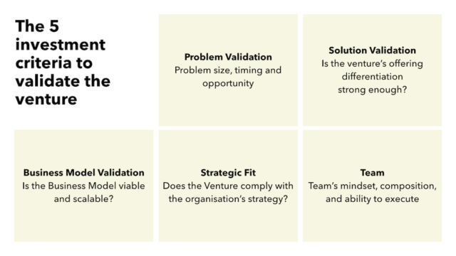 5-investment-criteria venture capital